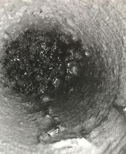 Schatz Francky image 6