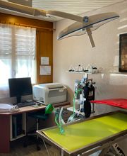 Kleintierpraxis Immoos Bild 4