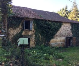 Thuilier Patrick image 14