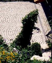 Walter Staub Pflästerungen GmbH Bild 2