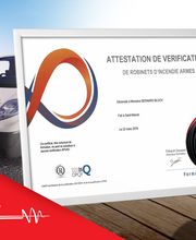 Sundgau Protection Incendie - Destruction Nids De Guêpes et frelons image 6