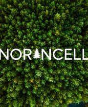 NORANCELL S.L imagen 12