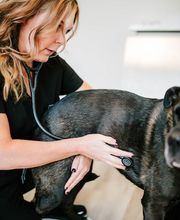Twin Oaks Veterinary Clinic image 8