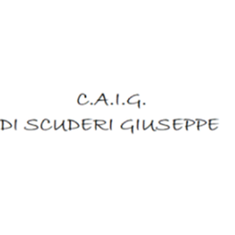 C.A.I.G. logo