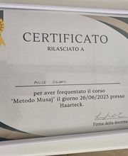 Terapie Olistiche Lugano di Alice Soldati Bild 14