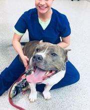 Gentle Doctor Animal Hospital image 20