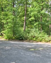 FriedWald Bremer Schweiz Bild 8