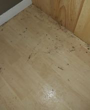 Stop Insecte image 3