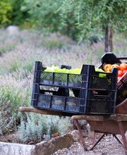 Racine Restaurant Bild 14