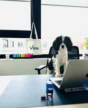 Vicky le chien travaille chez View Avocats