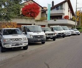 Braun Gartenbau AG Bild 11