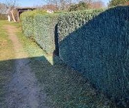 Der Gartenhelfer Bild 1