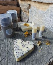 SorginBedar imagen 7