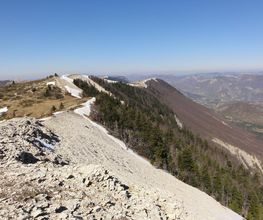 Montagne de Lure