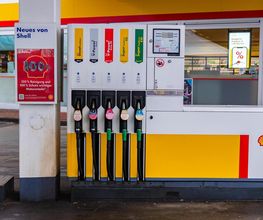Shell Bild 16