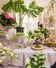 Côté Fleurs image 5