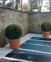 Batimat Distribution image 15