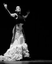 Noba Danza Studio imagen 14