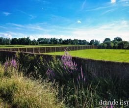 Brande-Est image 13