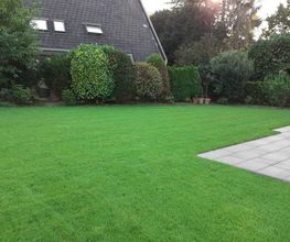 Tas-Gartenbau Bild 1