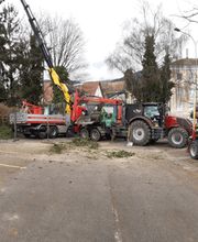 Mammutholzerei GmbH Bild 4