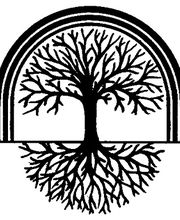 Physiotherapie Martin Schlozer Bild 1