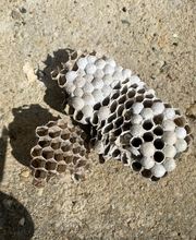 Solution 3D image 16