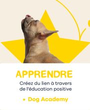 Tom&Co Challans image 2