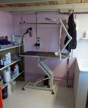 À la Maison du Toilettage image 7