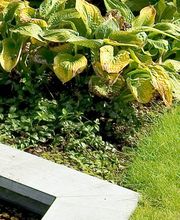 Caracterre SARL image 1