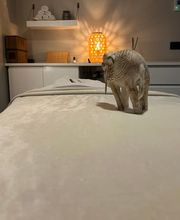 Epilation Pour Hommes, Massages Bien-être image 6