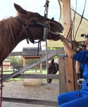 Gross- und Kleintierpraxis Geiser Biglen