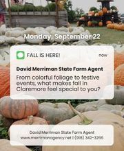 David Merriman - State Farm Insurance Agent image 6