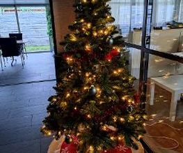 Milu Casa GmbH Bild 6