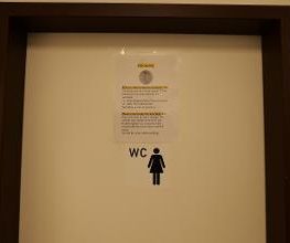 Shell Bild 20