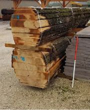 Lepagnier S.C.M image 2