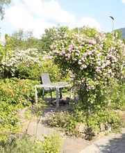 Elztal Gartenbau Bild 34