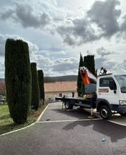 Mickael élagage image 2