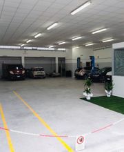 Gallery Cliente
