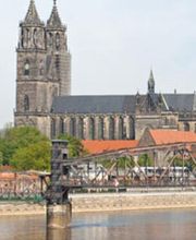 Köchy Schädlingsbekämpfung Bild 1