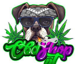 234276426-1-xjs69MJFI91710253620018.png