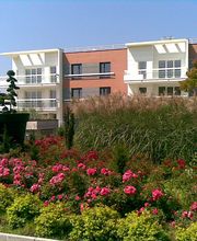 Sequoia Paysage image 12