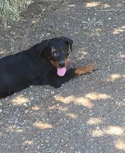 Pension De La Rosée Du Soleil image 14