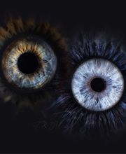 Termini Eddy Imagine image 4