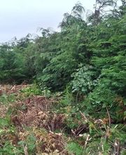 Kerviel Franck image 4