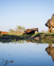 Le Domaine de La Barre Saint-Michel image 1