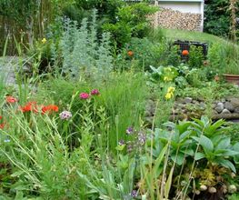 Einziggartig Gartenbau GmbH Bild 4