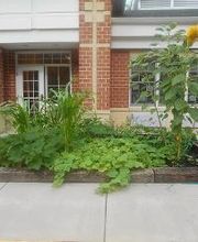 Learning Paths Academy Heathcote image 8