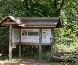 FriedWald Schönebeck (Elbe) Bild 9
