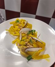 Gallery Professionale